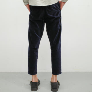 The Danver Pant, Sodalite | Velvet